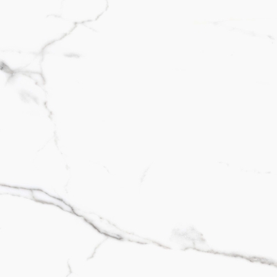 Керамогранит PRIMAVERA Salvatore polished PR107 60х60 см