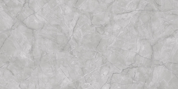 Керамогранит PRIMAVERA  Vanity Grey Carving CR231 120х60 см