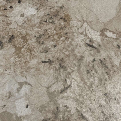 Интерьерный лист SOLID URBAN (2025) IL 2038 ТРОПЕЯ МАТОВЫЙ