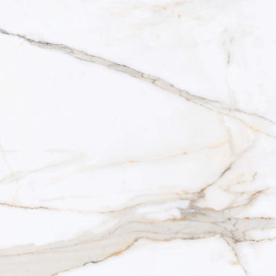 Керамогранит PRIMAVERA Regal Carara polished PR103 60х60 см