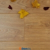 Ламинат Tarkett WOODSTOCK Дуб Шервуд Медовый 504044130