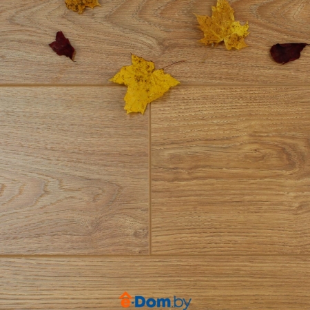 Ламинат Tarkett WOODSTOCK Дуб Шервуд Медовый 504044130