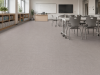 Линолеум Tarkett Sprint Pro BATIST 2 3,5м