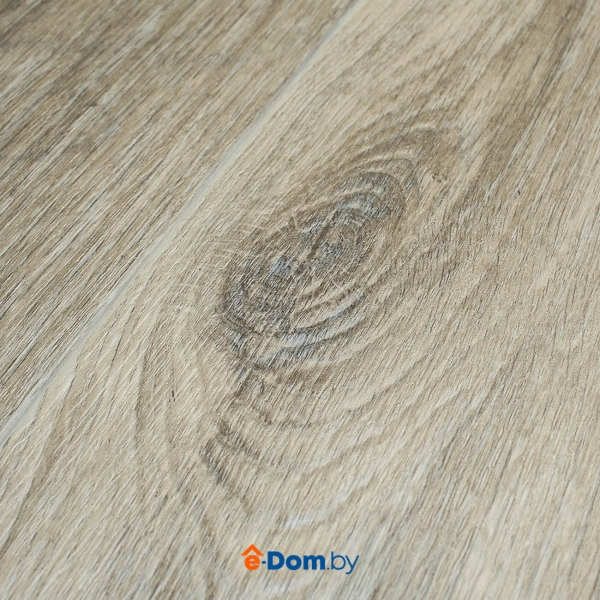 Линолеум Tarkett Gladiator Muskat-11