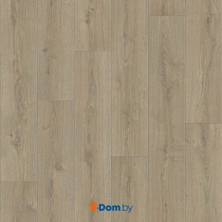 Линолеум Tarkett Praktika Bruno 1