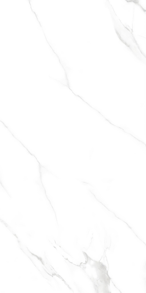 керамогранит lux ceramics rc wizard w 60х120 см